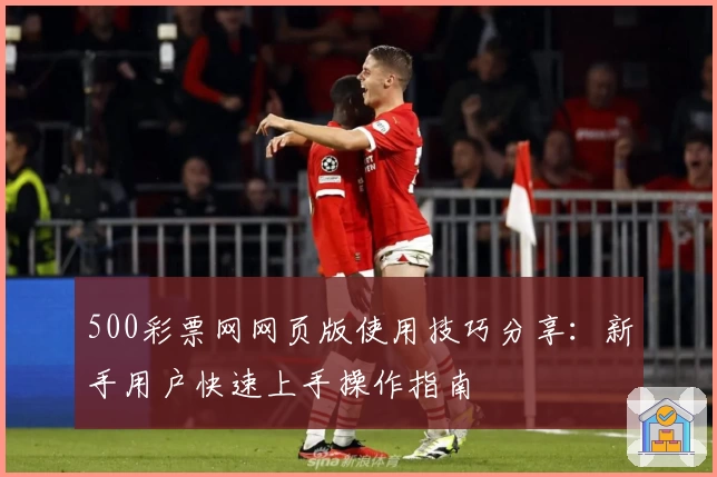 500彩票网网页版使用技巧分享：新手用户快速上手操作指南