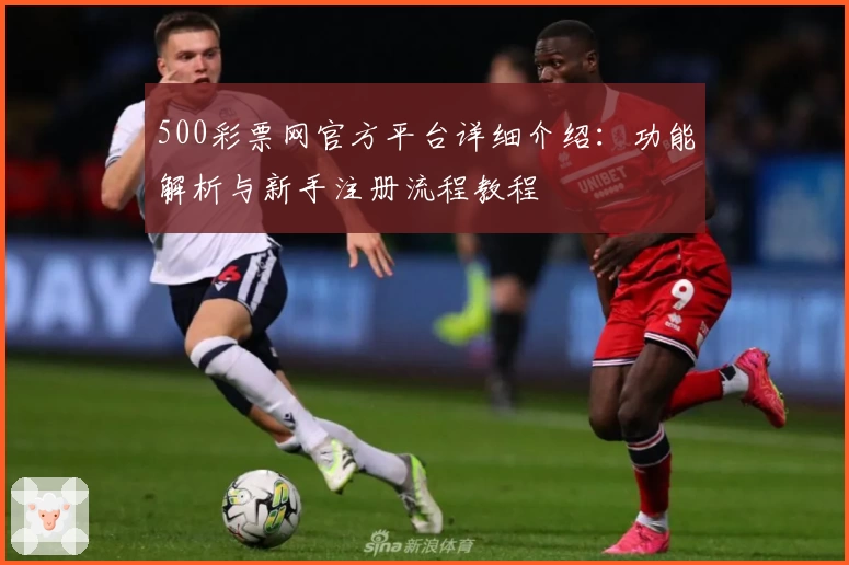 500彩票网官方平台详细介绍：功能解析与新手注册流程教程